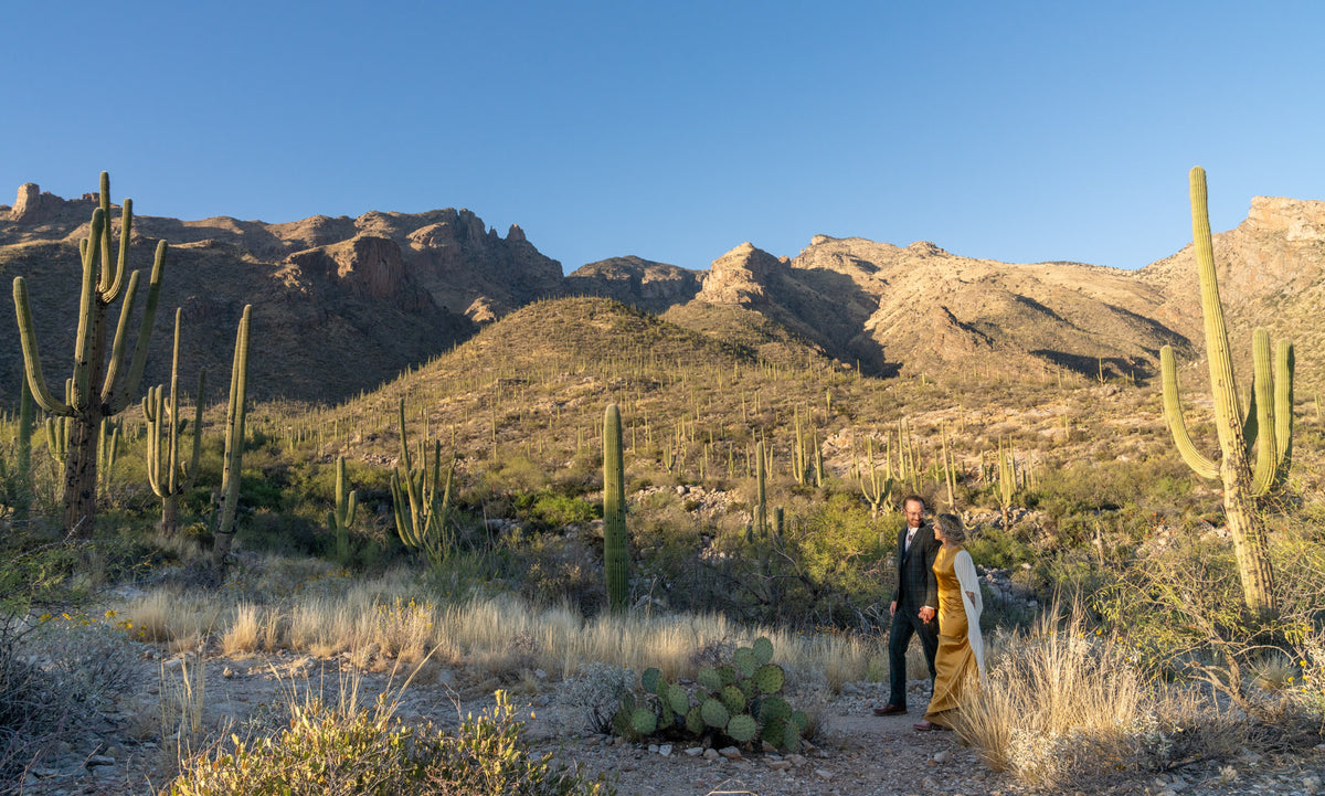 Inspired by the Sonoran Desert